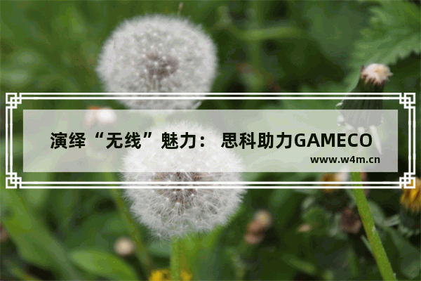 演绎“无线”魅力： 思科助力GAMECO提速