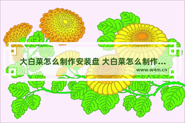 大白菜怎么制作安装盘 大白菜怎么制作安装盘子教程