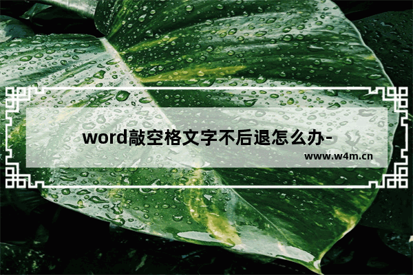 word敲空格文字不后退怎么办-