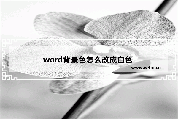 word背景色怎么改成白色-