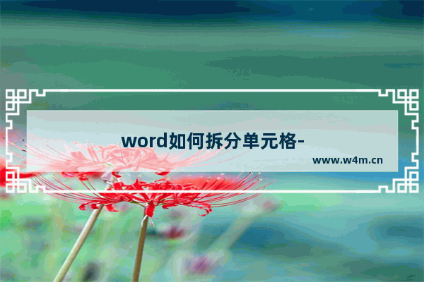 word如何拆分单元格-