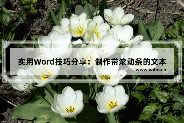 实用Word技巧分享：制作带滚动条的文本框-