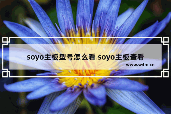 soyo主板型号怎么看 soyo主板查看型号