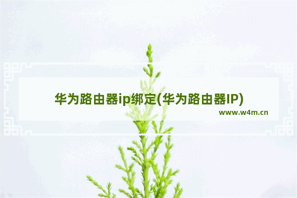 华为路由器ip绑定(华为路由器IP)