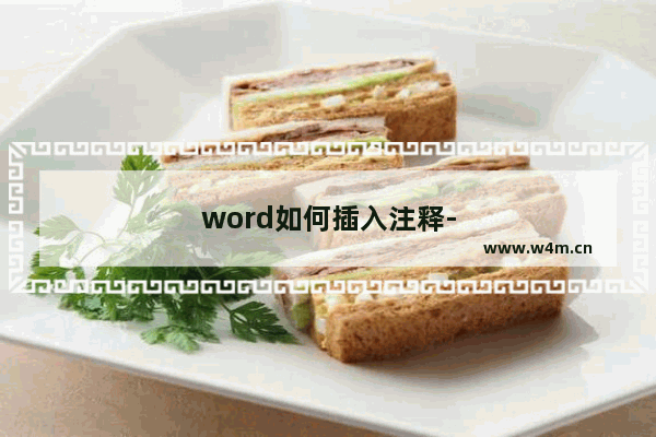 word如何插入注释-