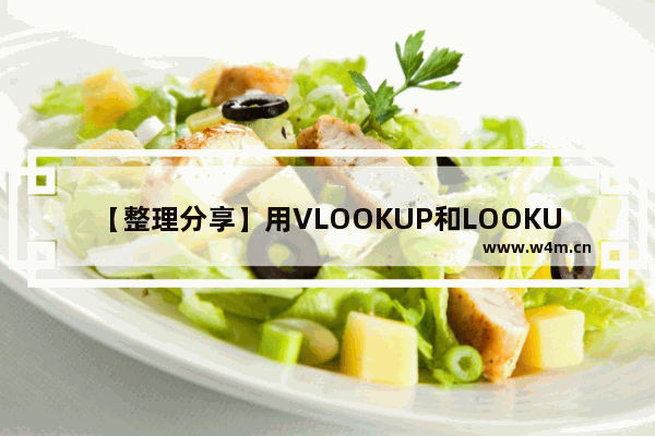 【整理分享】用VLOOKUP和LOOKUP函数进行模糊查找的4种方法-