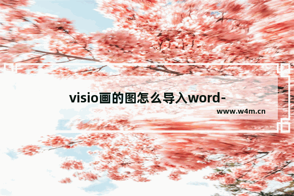 visio画的图怎么导入word-