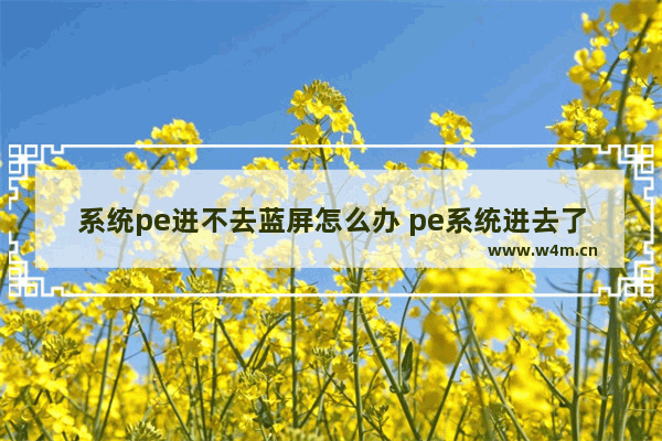 系统pe进不去蓝屏怎么办 pe系统进去了蓝屏怎么办