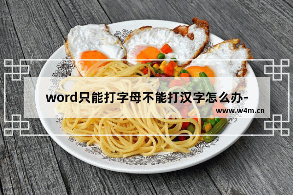 word只能打字母不能打汉字怎么办-