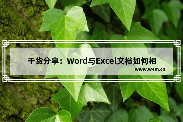 干货分享：Word与Excel文档如何相互转换-