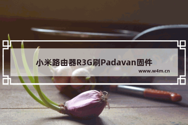 小米路由器R3G刷Padavan固件