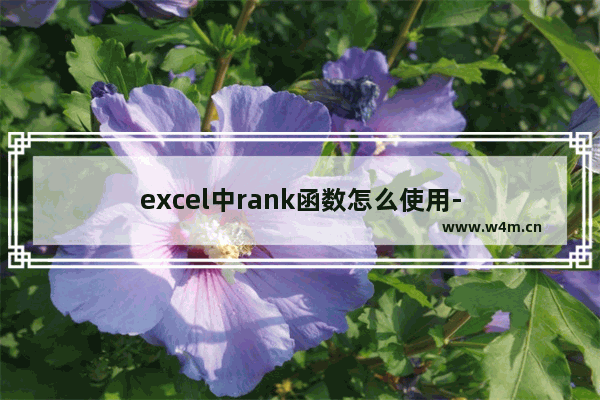 excel中rank函数怎么使用-