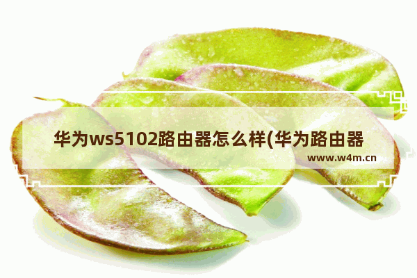 华为ws5102路由器怎么样(华为路由器ws6506好用么)