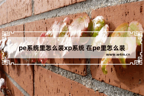 pe系统里怎么装xp系统 在pe里怎么装系统