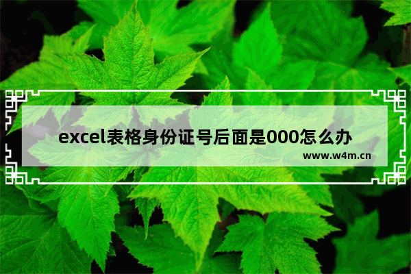 excel表格身份证号后面是000怎么办-