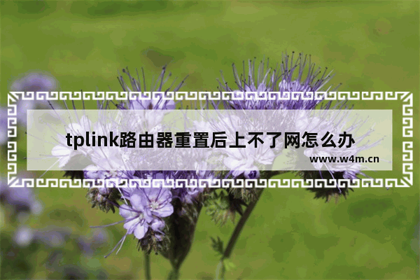 tplink路由器重置后上不了网怎么办