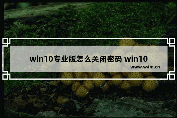 win10专业版怎么关闭密码 win10专业版怎么关闭密码登陆