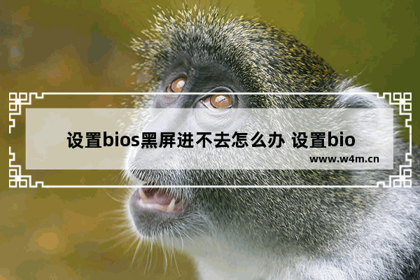 设置bios黑屏进不去怎么办 设置bios开机黑屏什么都不显示