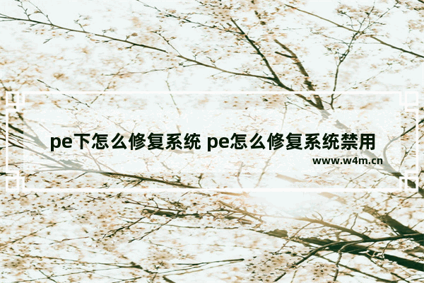 pe下怎么修复系统 pe怎么修复系统禁用的端口