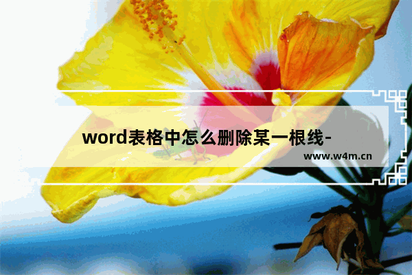 word表格中怎么删除某一根线-