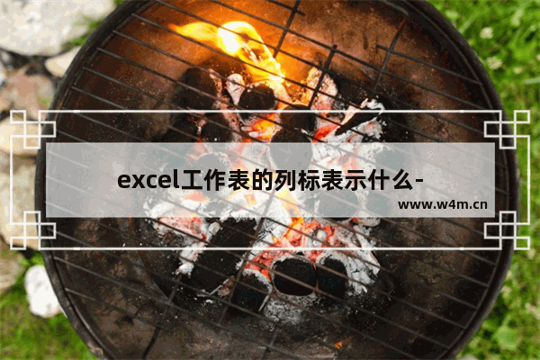 excel工作表的列标表示什么-