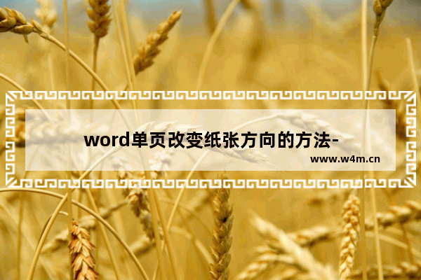 word单页改变纸张方向的方法-