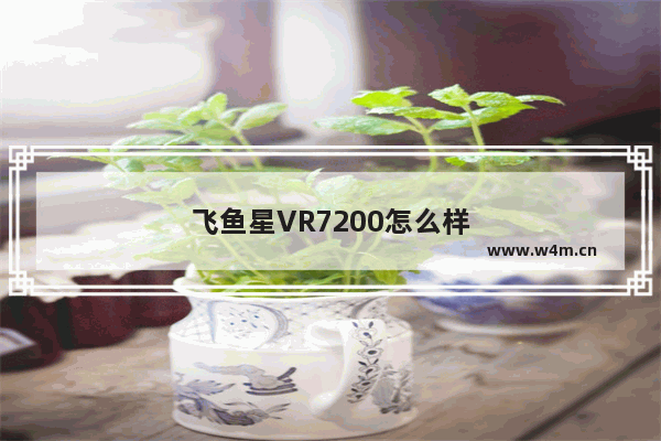 飞鱼星VR7200怎么样