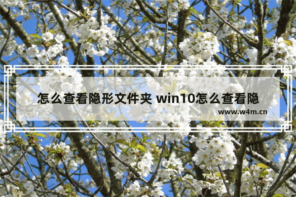 怎么查看隐形文件夹 win10怎么查看隐藏文件夹