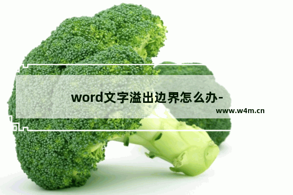 word文字溢出边界怎么办-