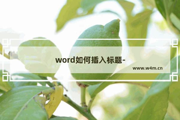 word如何插入标题-