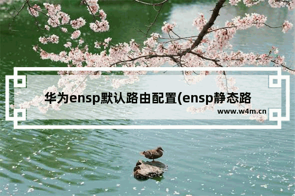 华为ensp默认路由配置(ensp静态路由配置重新配置命令)