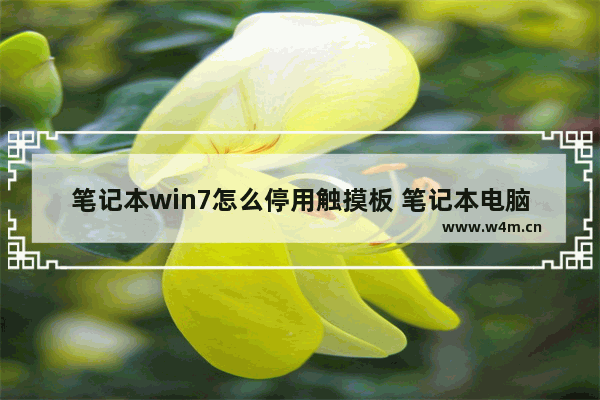 笔记本win7怎么停用触摸板 笔记本电脑win7怎么关闭触摸板