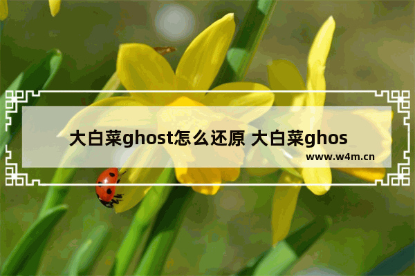 大白菜ghost怎么还原 大白菜ghost还原操作