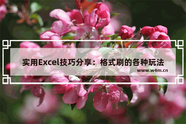 实用Excel技巧分享：格式刷的各种玩法！-