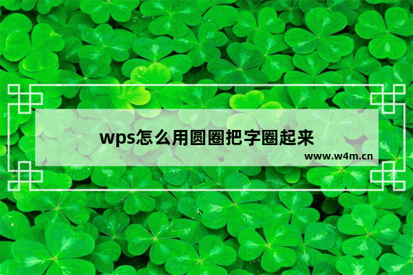 wps怎么用圆圈把字圈起来