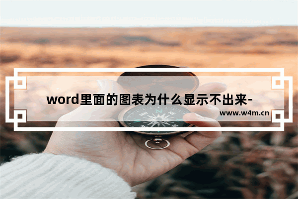 word里面的图表为什么显示不出来-