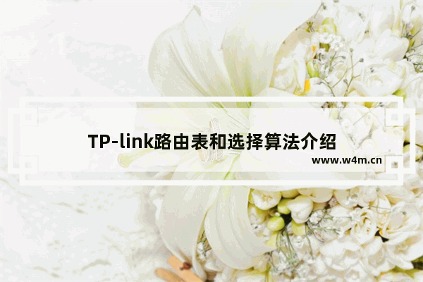 TP-link路由表和选择算法介绍