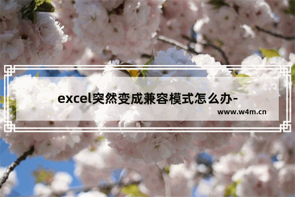 excel突然变成兼容模式怎么办-