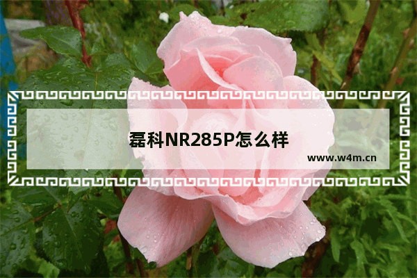 磊科NR285P怎么样