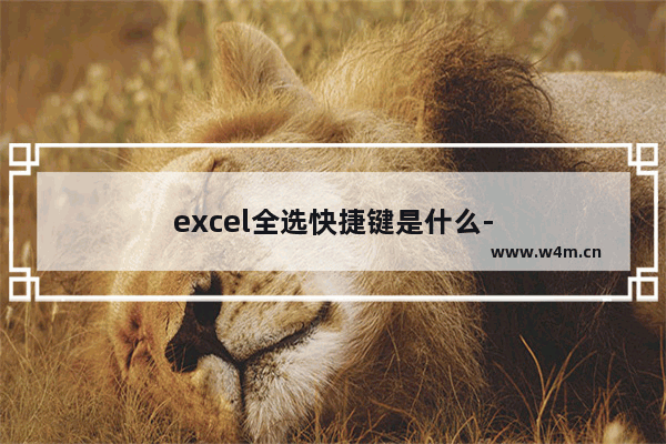 excel全选快捷键是什么-