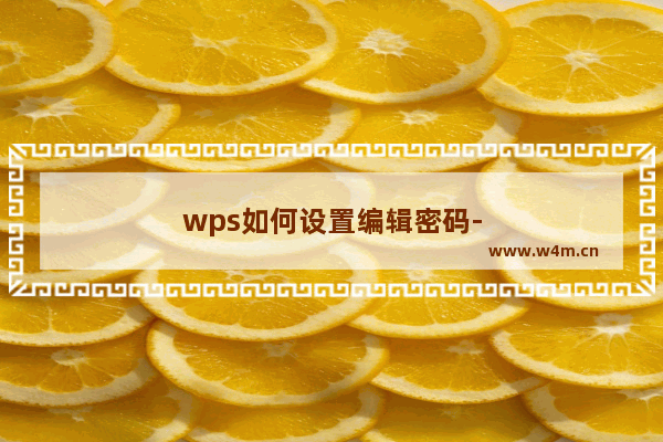 wps如何设置编辑密码-