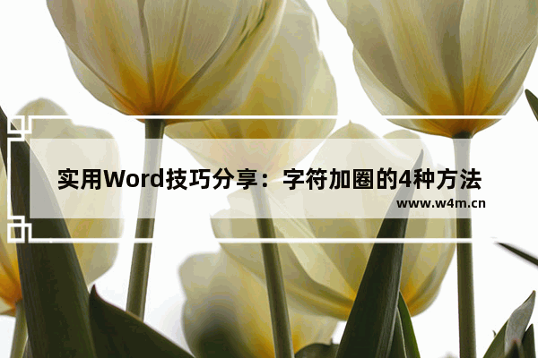 实用Word技巧分享：字符加圈的4种方法分享！-