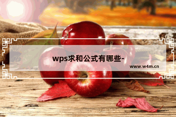 wps求和公式有哪些-