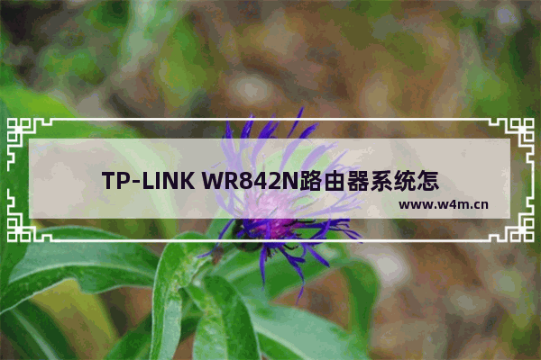 TP-LINK WR842N路由器系统怎么升级