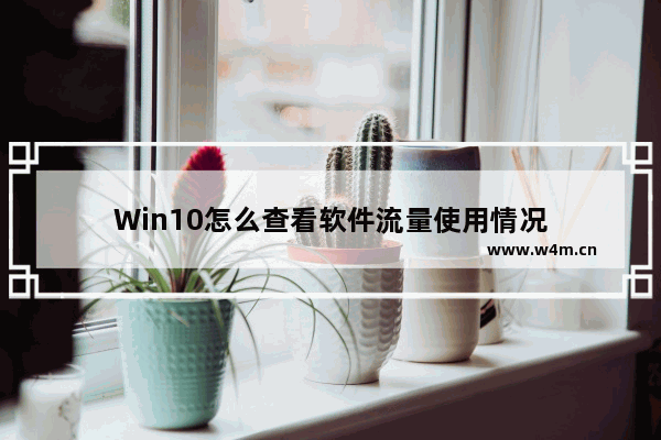 Win10怎么查看软件流量使用情况