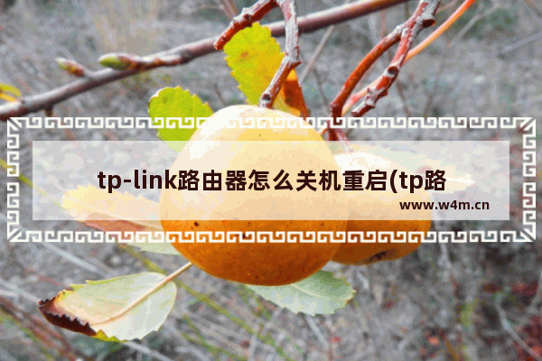 tp-link路由器怎么关机重启(tp路由器自动关机)