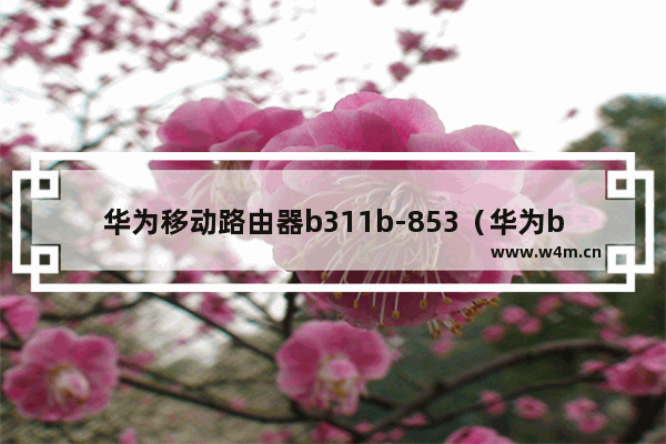 华为移动路由器b311b-853（华为b311路由器怎么样）