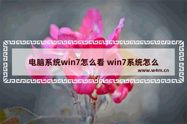 电脑系统win7怎么看 win7系统怎么查