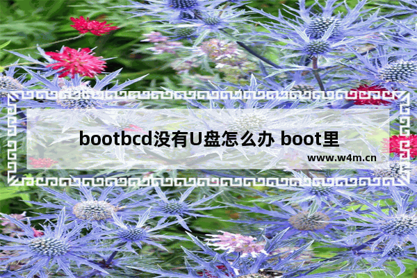 bootbcd没有U盘怎么办 boot里没有u盘启动项