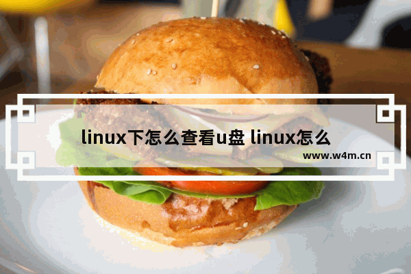 linux下怎么查看u盘 linux怎么查看u盘挂载路径